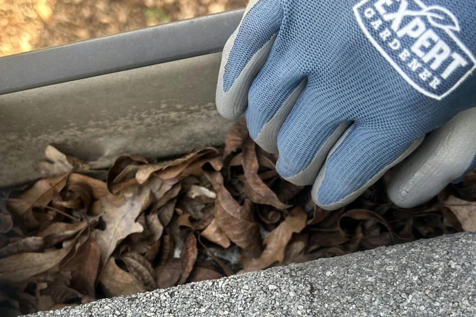 Gutter Cleaning Arcadia FL