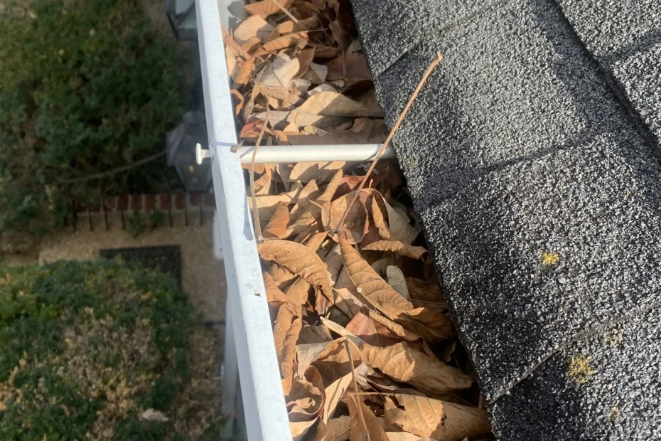 Gutter Cleaning Arcadia FL