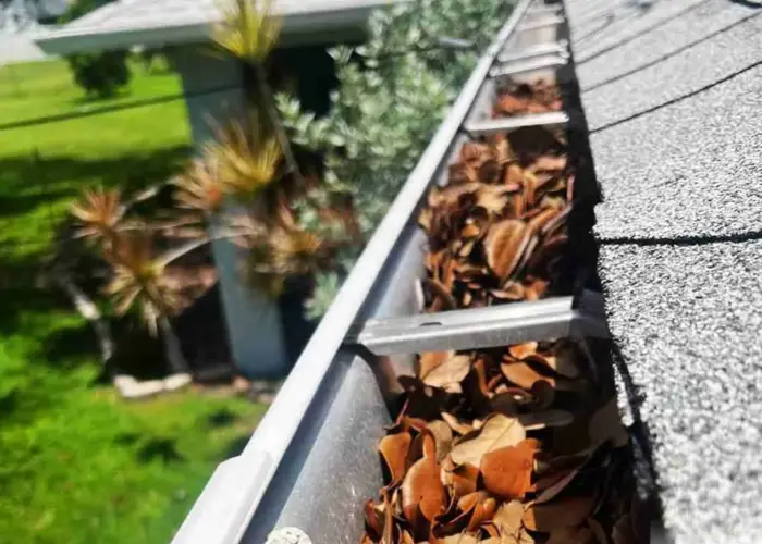 Gutter Cleaning Arcadia FL home page